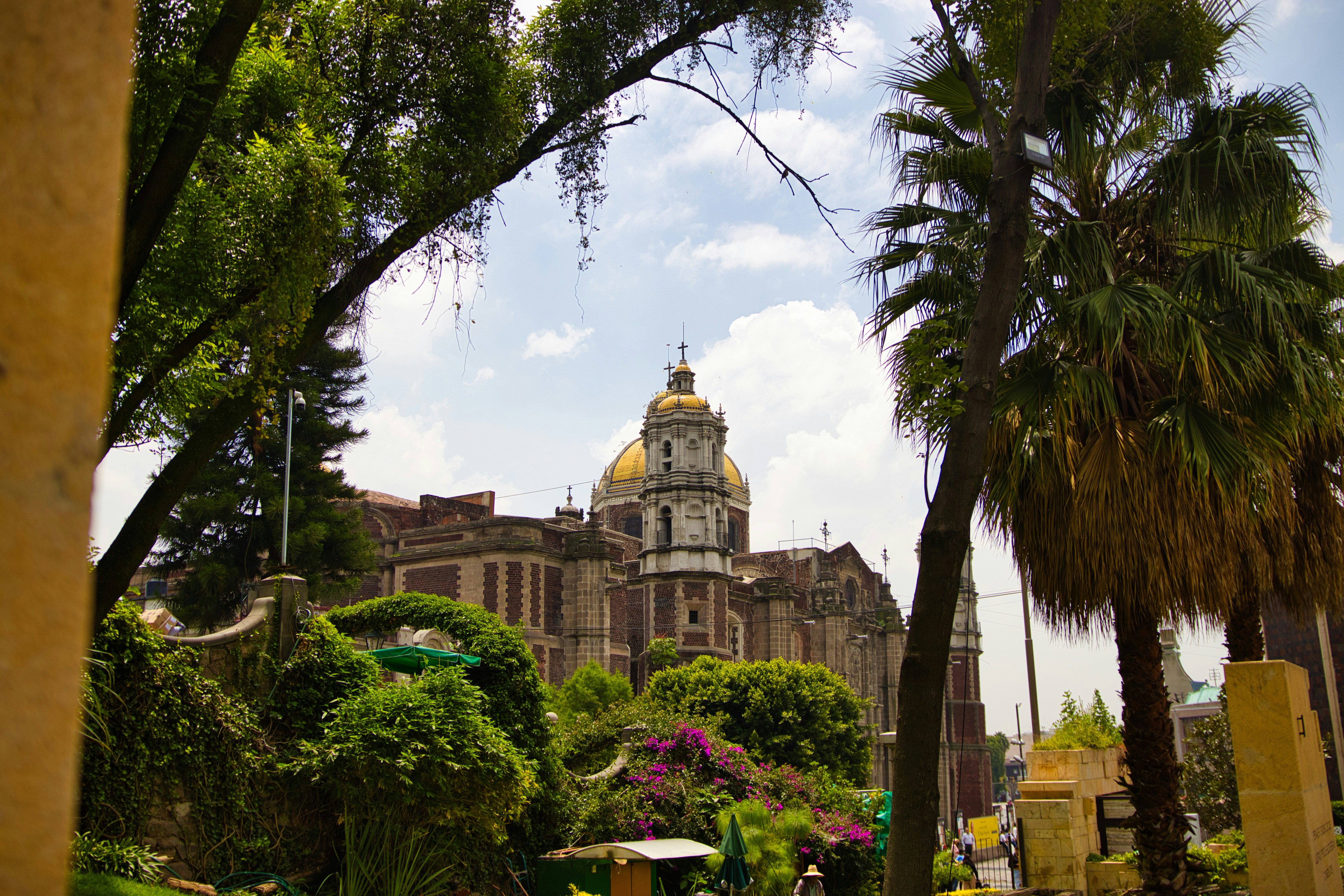 Basilica of our lady of guadalupe with lush greenery.